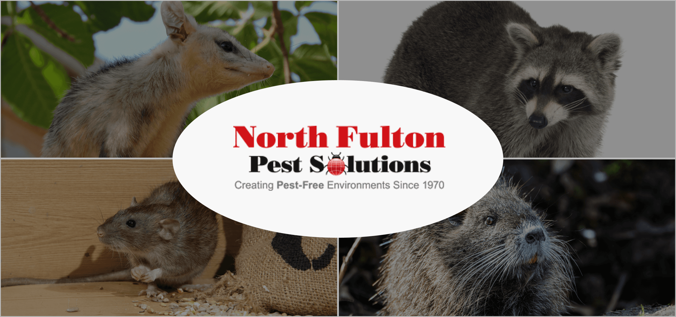 Northfull Pest Solution